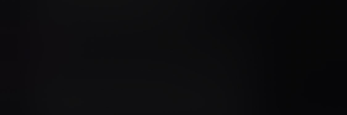 Chief Lewanika banner