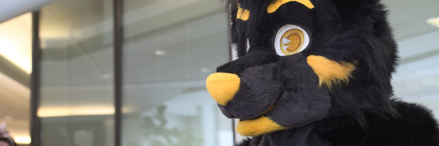 DessFachs's profile banner image
