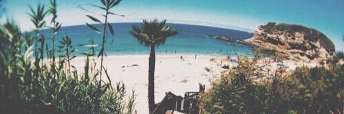 Bartonrose's profile banner image