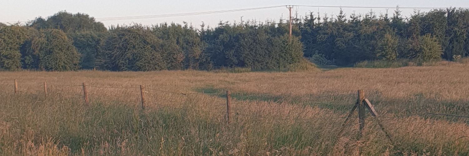 cjb82's profile banner image
