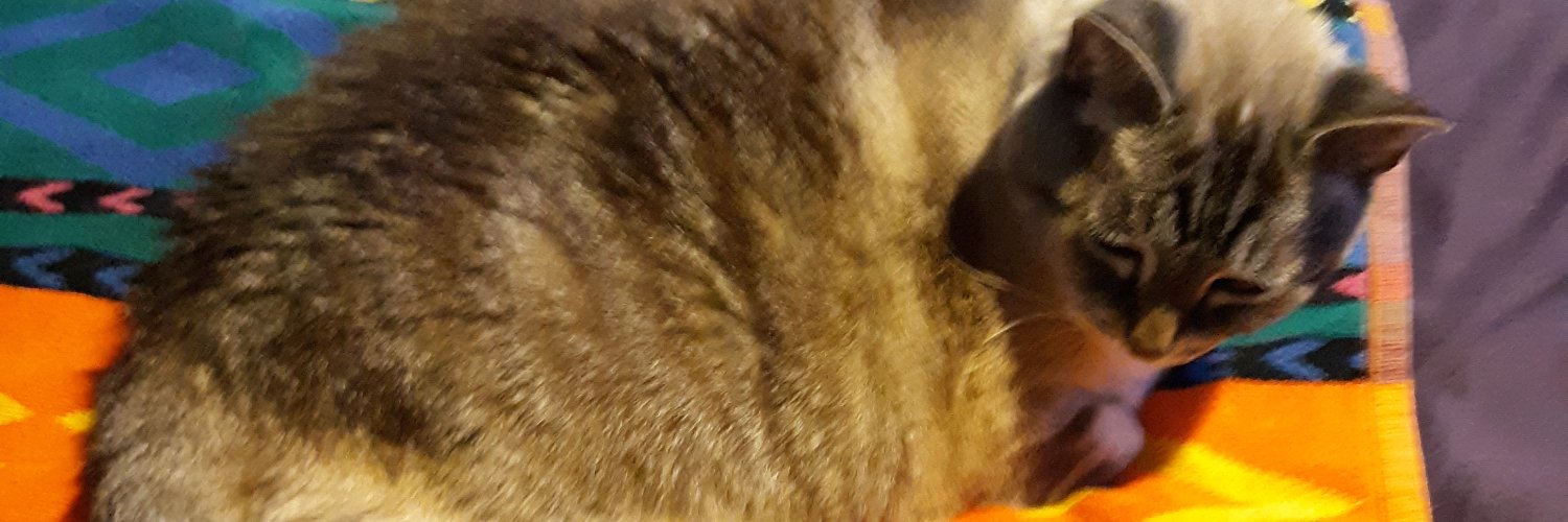 MEOWBTR's profile banner image