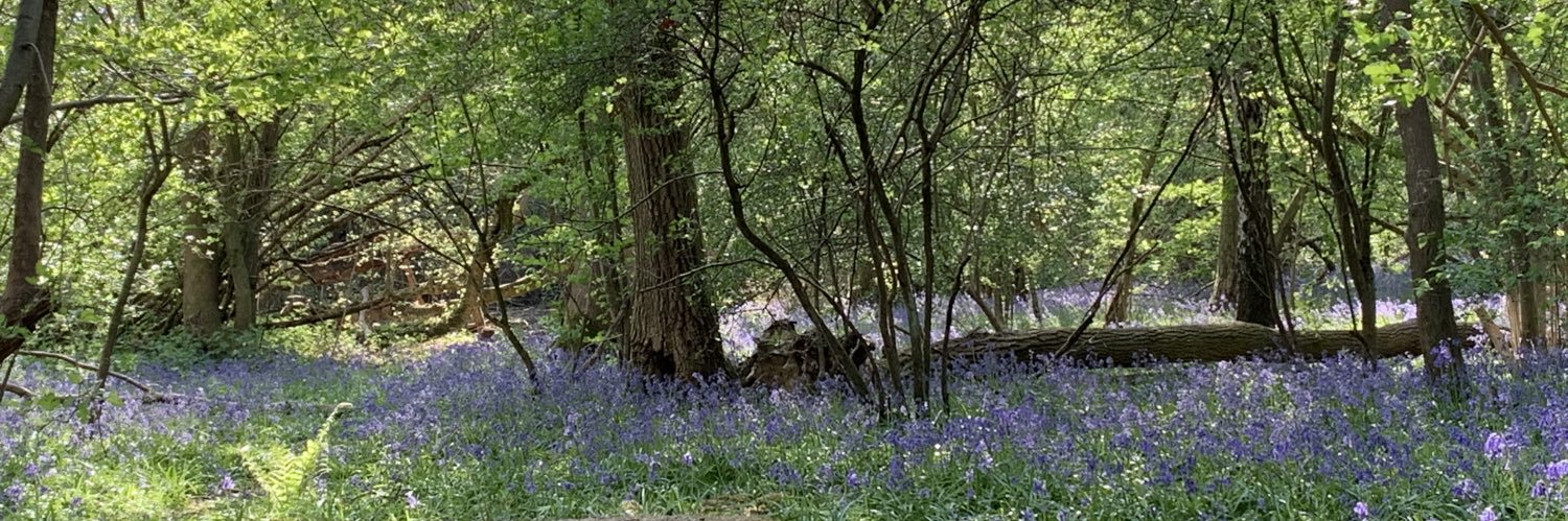 amyperkins84's profile banner image