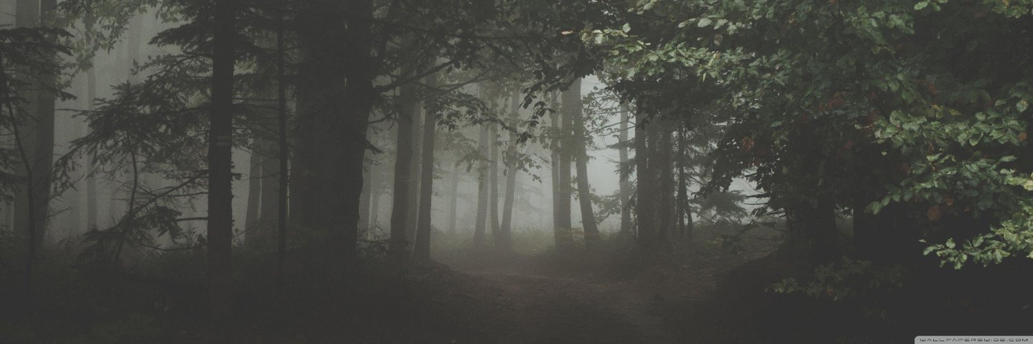 danieldahlbom's profile banner image