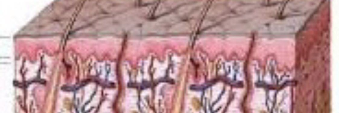 Crisdedaniel's profile banner image