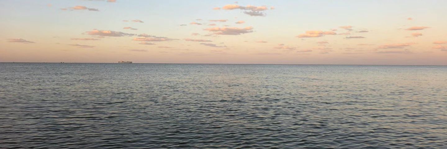 tomibravo's profile banner image