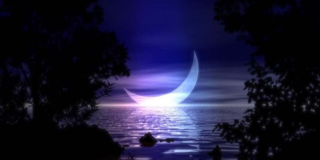 StarReyiki's profile banner image
