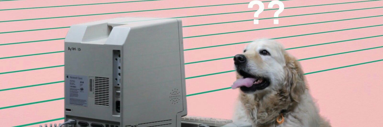 prospitsleeper's profile banner image