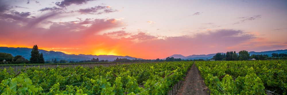 Napa County Farm Bureau banner