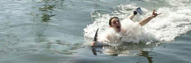 HarrisonOfABih's profile banner image