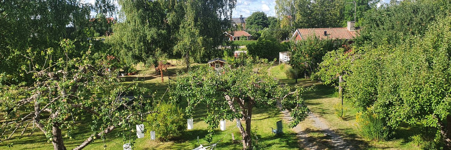 Magnus Wallin 💚🤍 banner