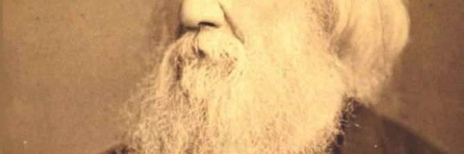 SmittyDick's profile banner image