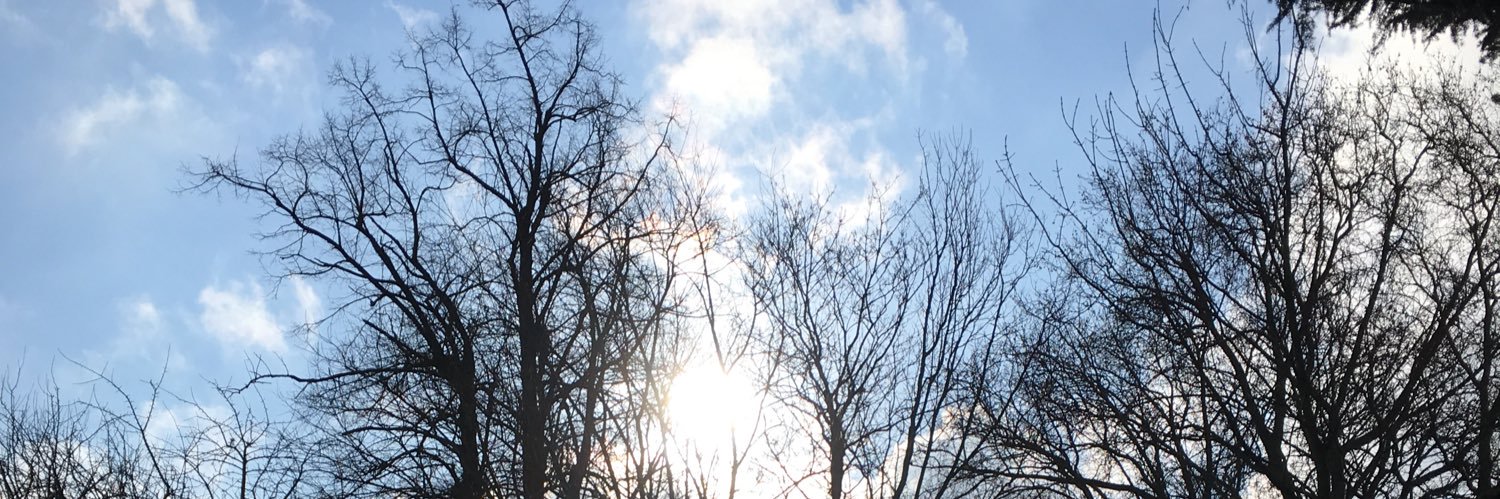 ✨Rosebud✨🏴󠁧󠁢󠁥󠁮󠁧󠁿 banner