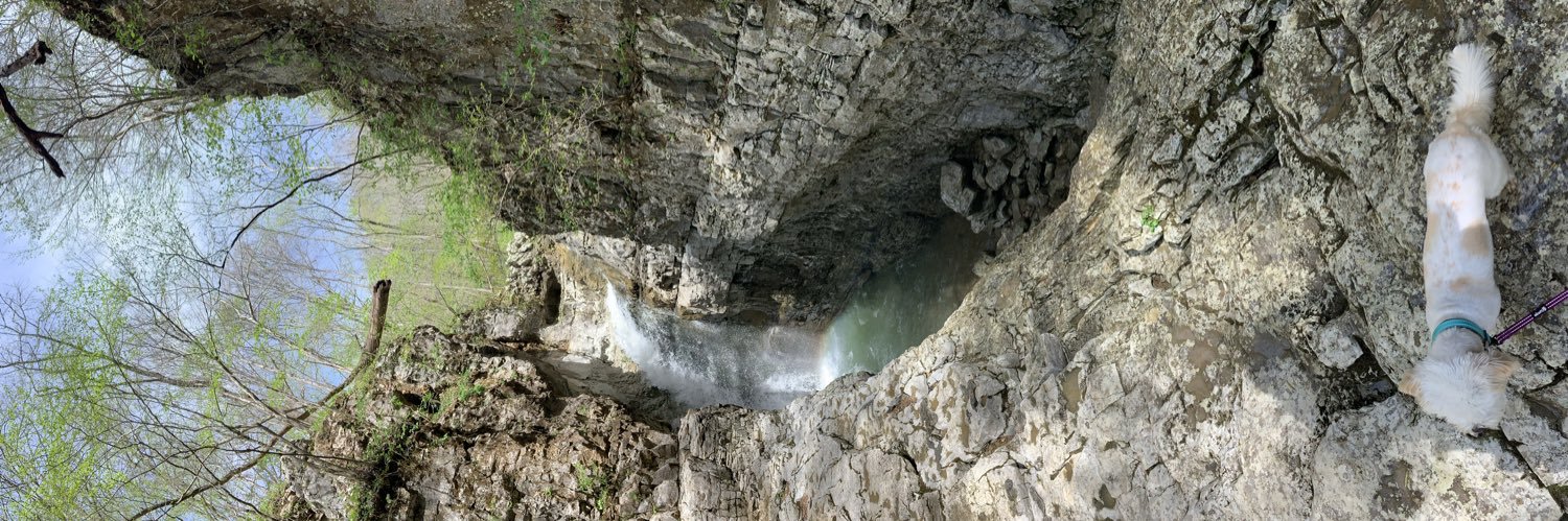 Courtney A. Crist, PhD banner