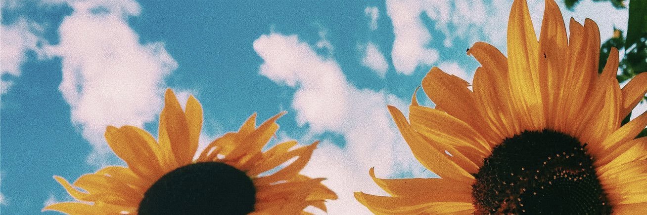 AnnyViolence's profile banner image