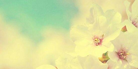 bethany_wethany's profile banner image