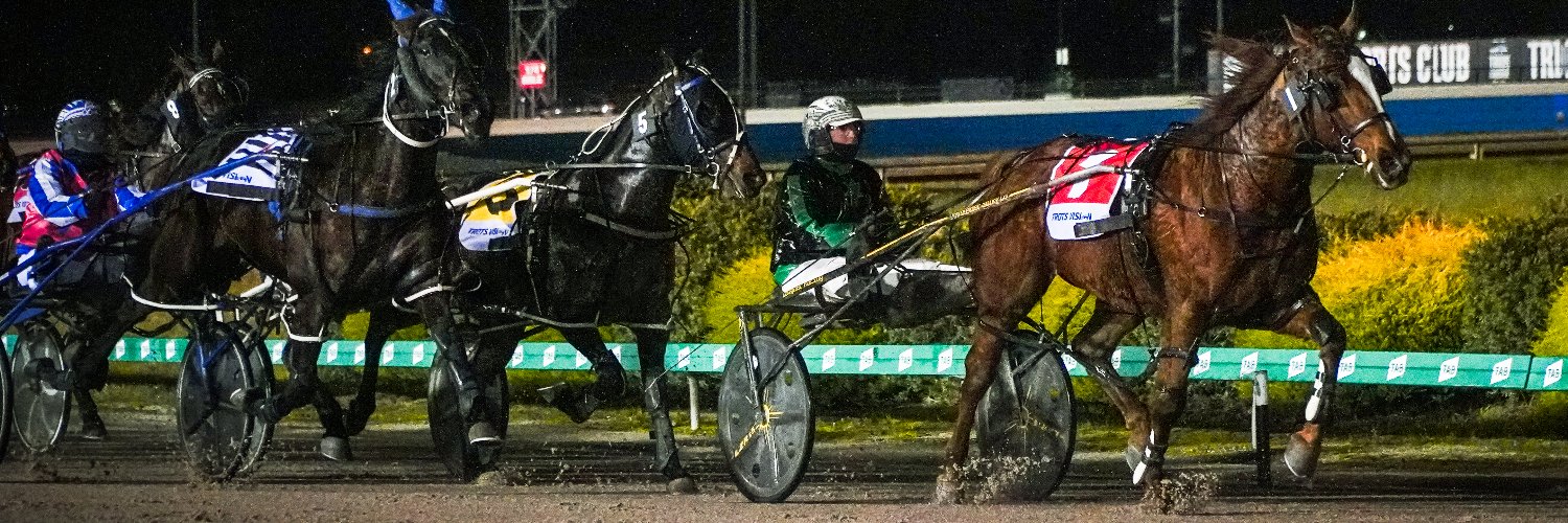 Cranbourne Harness banner