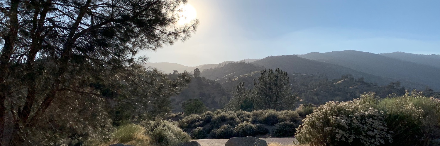 Mason O'Sullivan (#PreWGA) banner