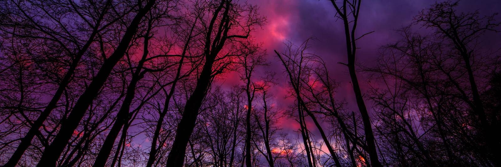 UpelDuCoundray's profile banner image