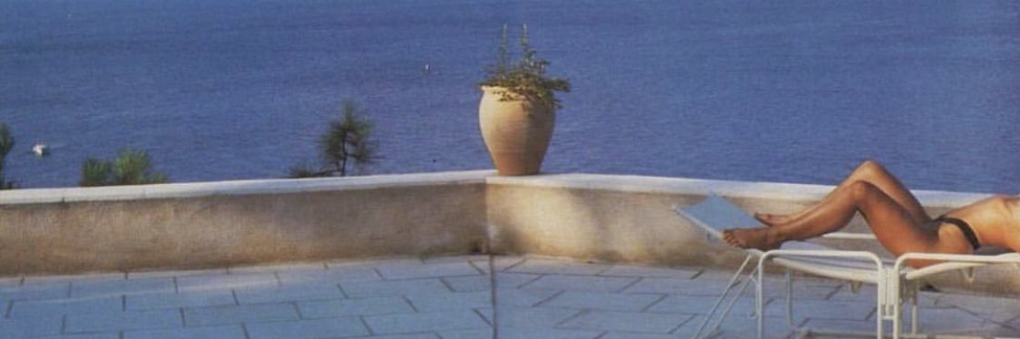 elnalgonese's profile banner image