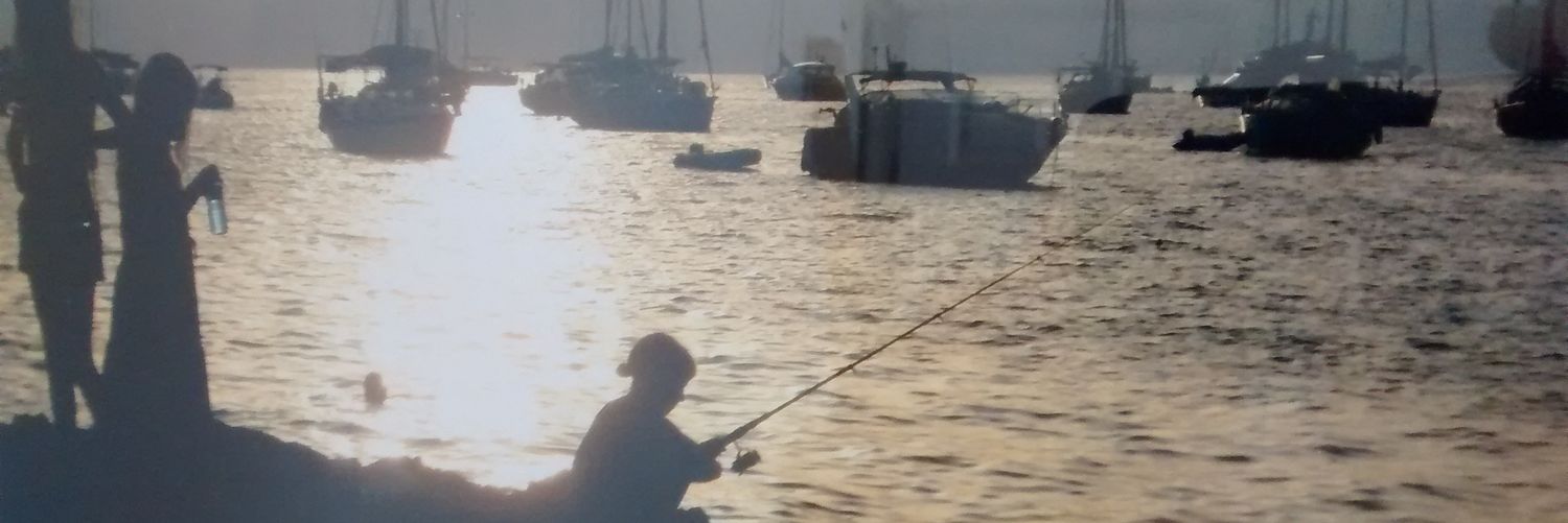 SteveBrain_'s profile banner image