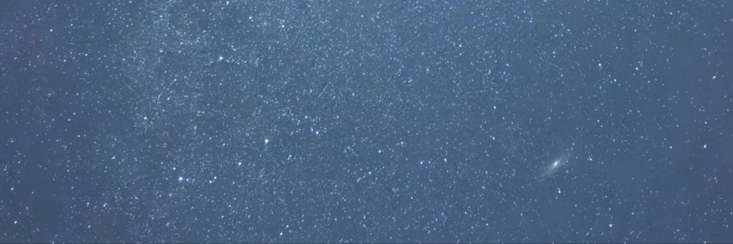 pinkslippersl's profile banner image