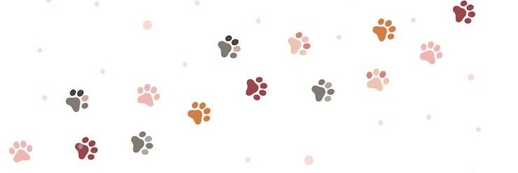 killer cat 🪓😾 banner