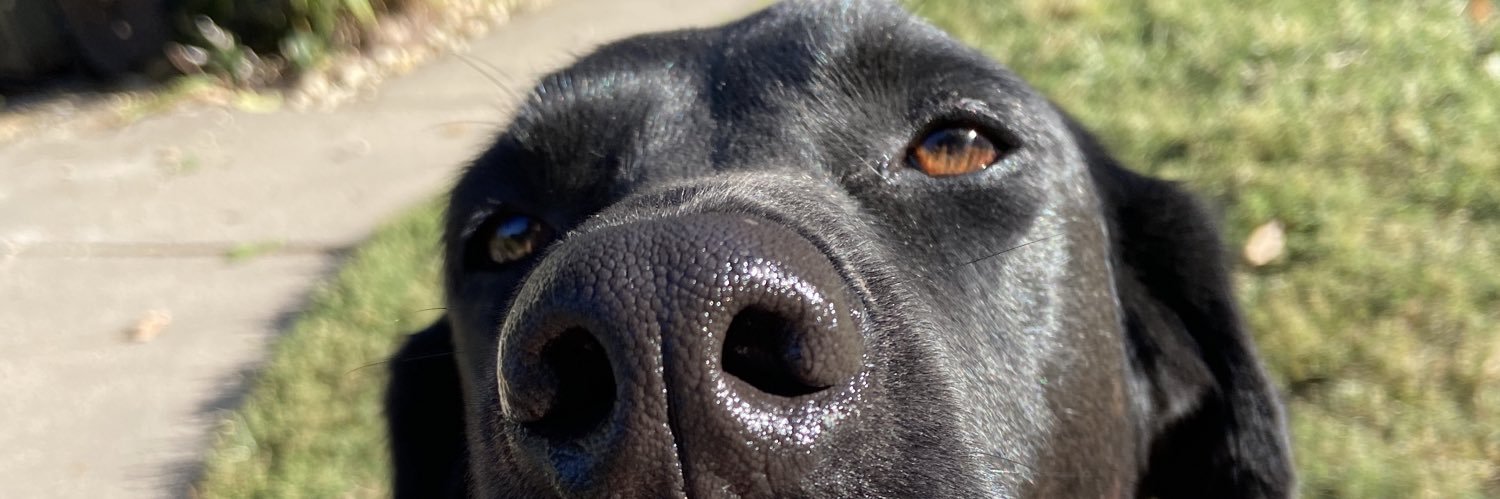 Angus_Creede's profile banner image