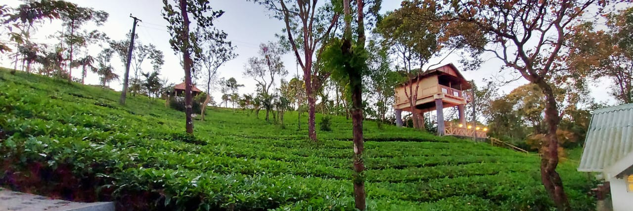 holidayvagamon's profile banner image