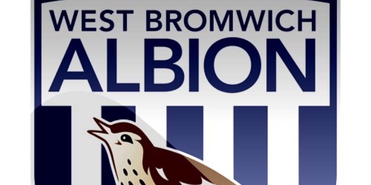 Shane Beaumont banner