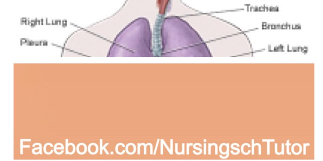 NursingSchTutor's profile banner image