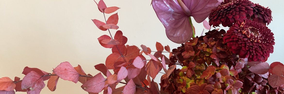 maaly_mao's profile banner image