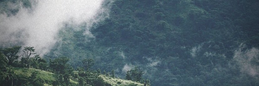 MiMiwza's profile banner image