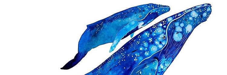 Michelle Fleur banner