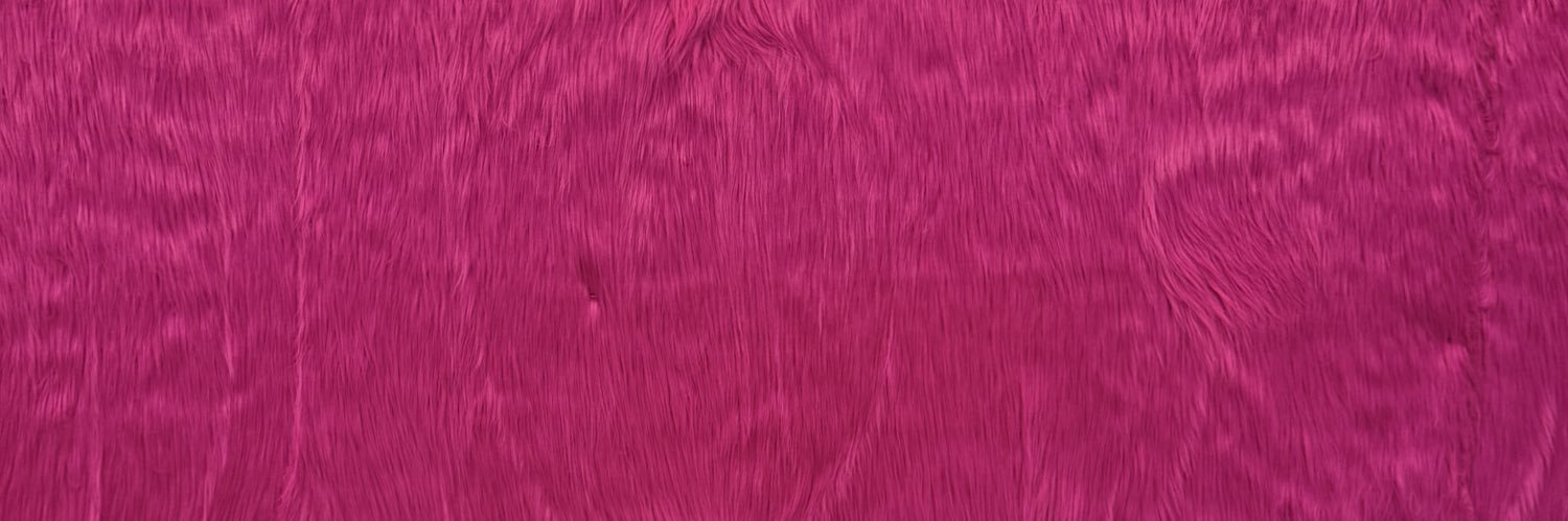 BonneChatte_'s profile banner image