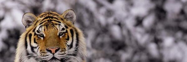 JenGilz29's profile banner image