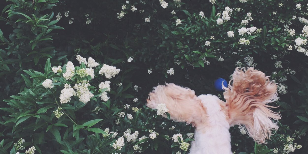 hannahjoy11's profile banner image