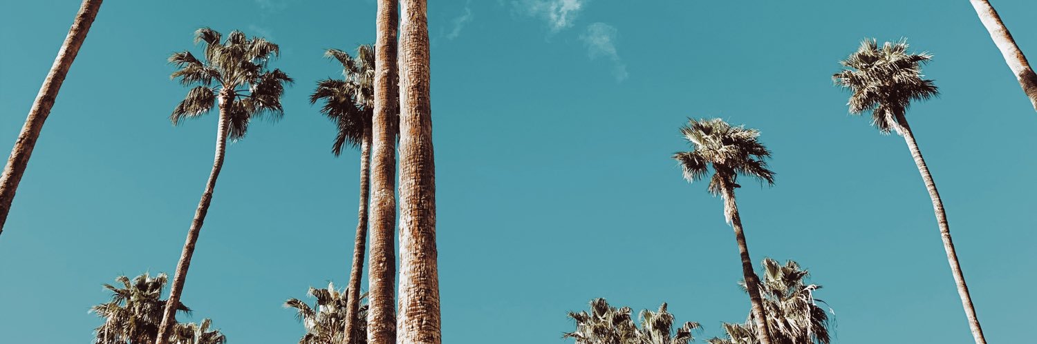 juliallevatto's profile banner image