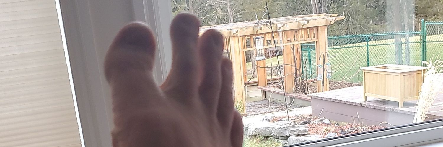 Steve Anthony banner