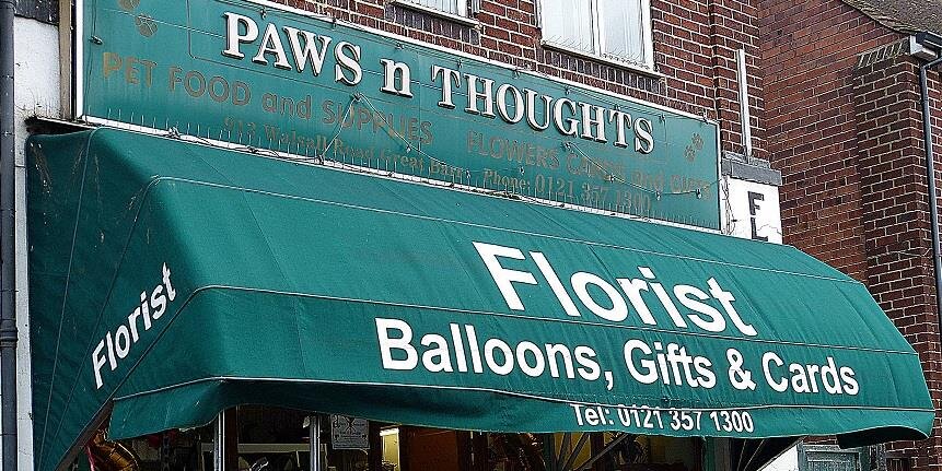 Paws_n_Thoughts's profile banner image