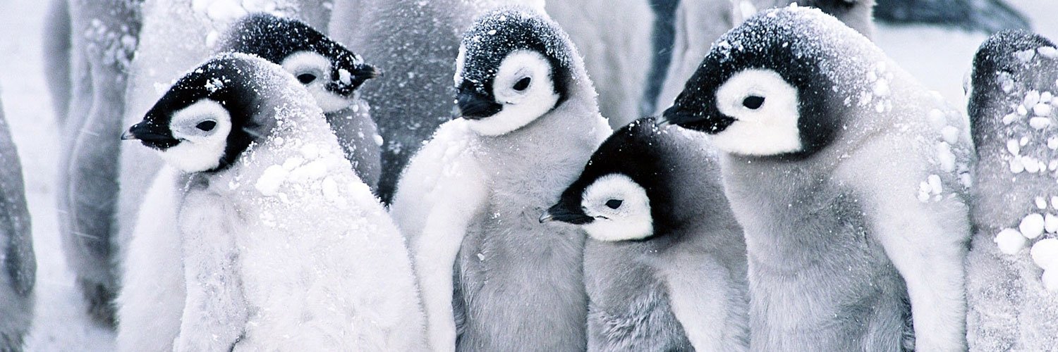 Ryosuke Kawamura banner