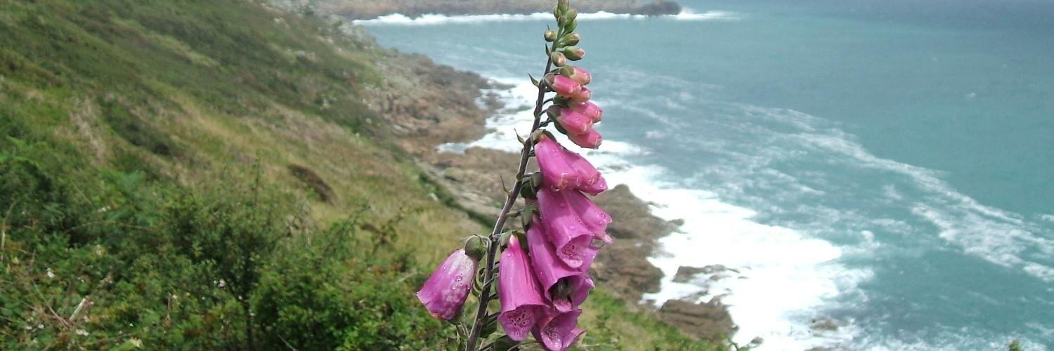 High Value Biorenewables Network banner