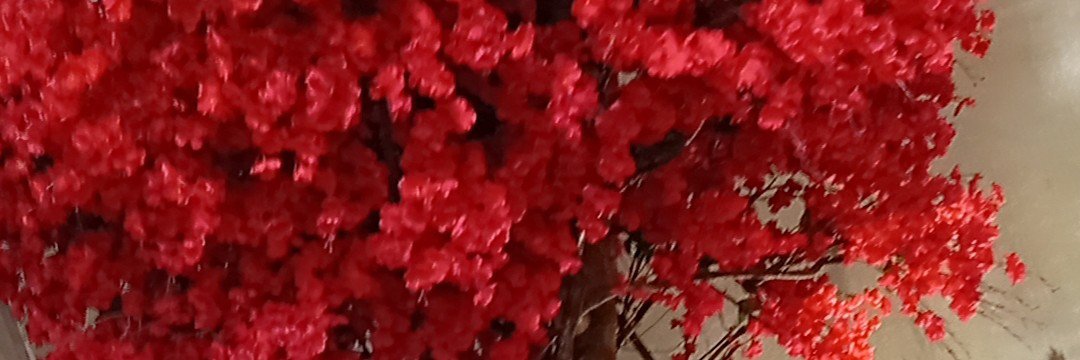 Amel_kap's profile banner image