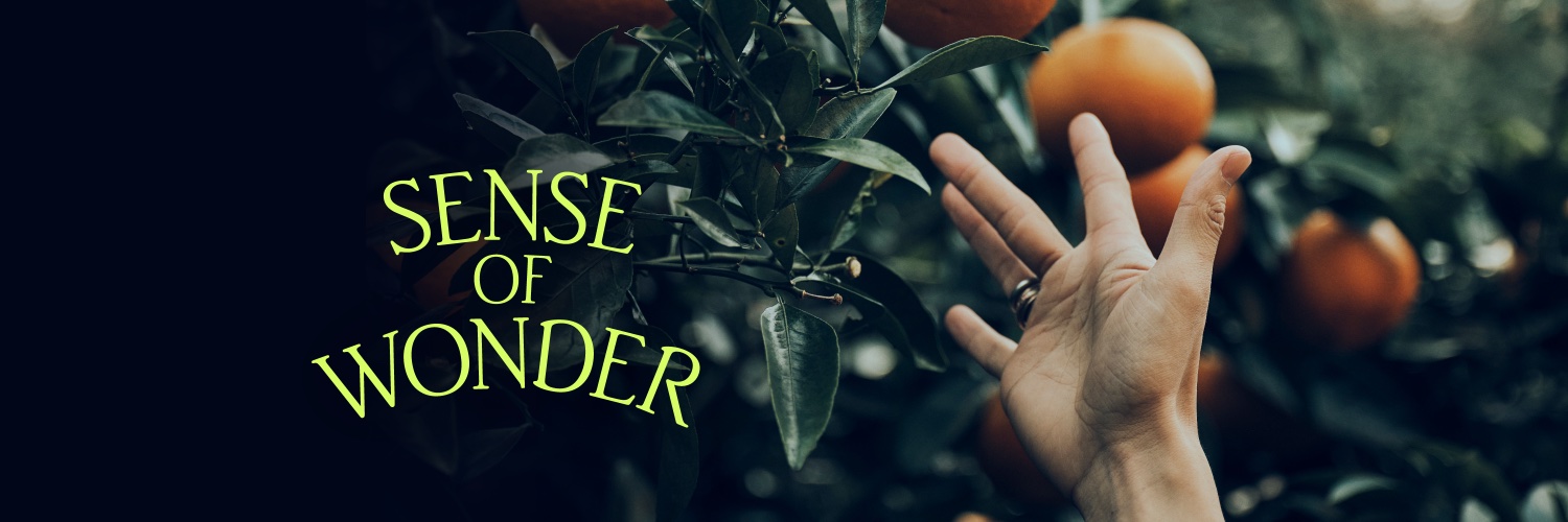 The Songbards banner