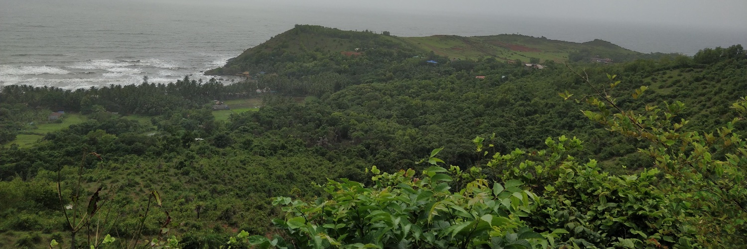 manasayadav79's profile banner image