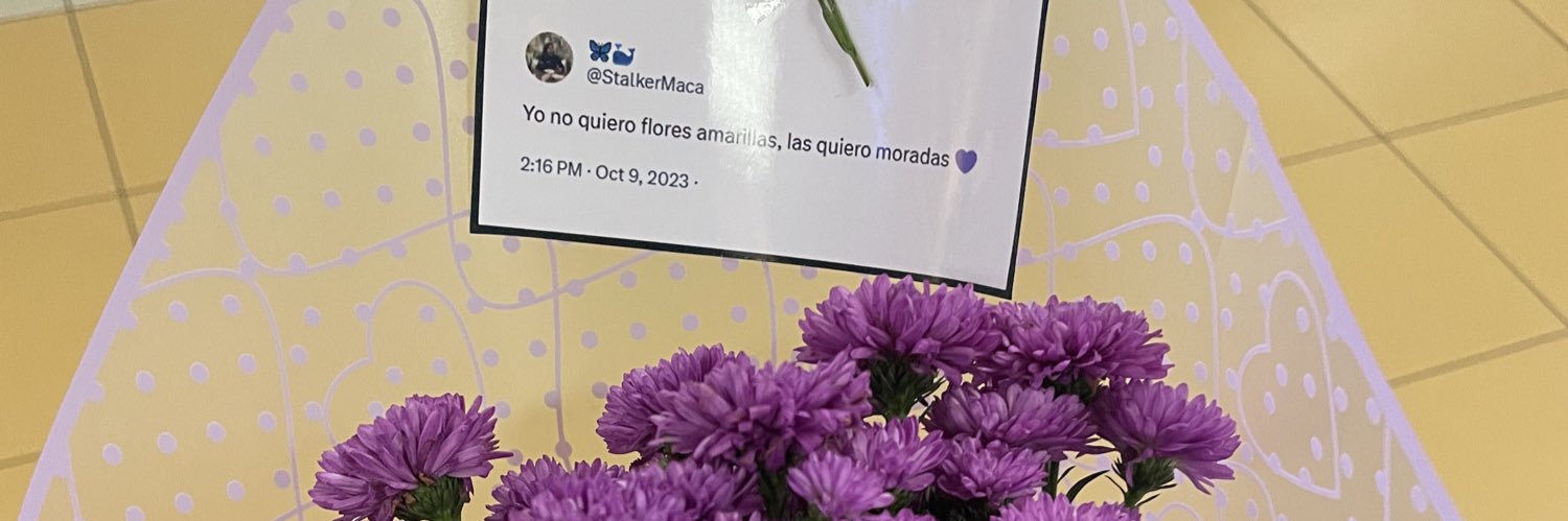 StalkerMaca's profile banner image