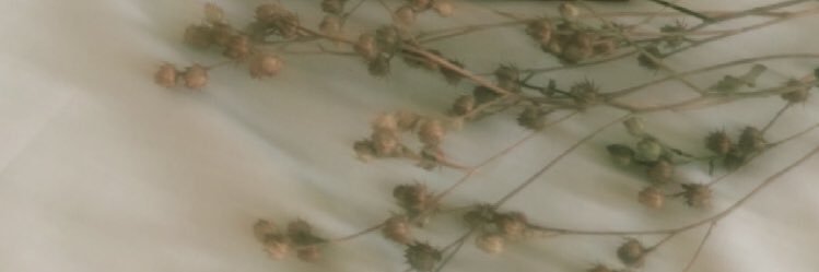 itsnafl's profile banner image