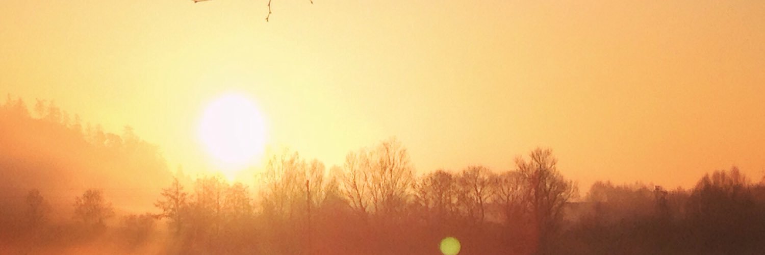 __annaklein's profile banner image