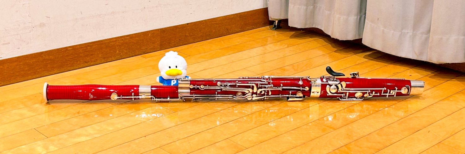 piepie1211's profile banner image