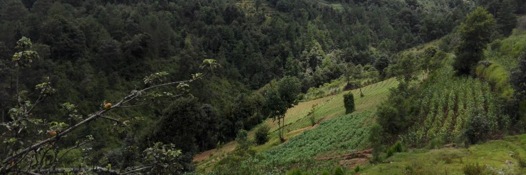 moraleste's profile banner image