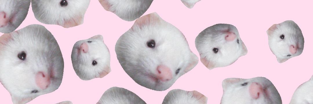 takimaco's profile banner image